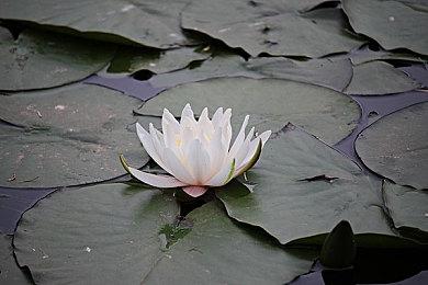 小岛公开新作的另外一个女主：忽那汐里